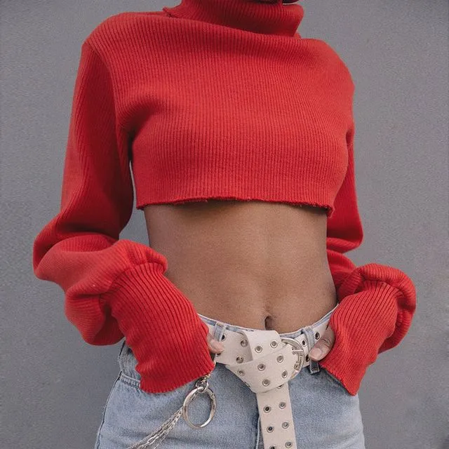 Ladies turtle neck oversize long sleeve crop sweater top