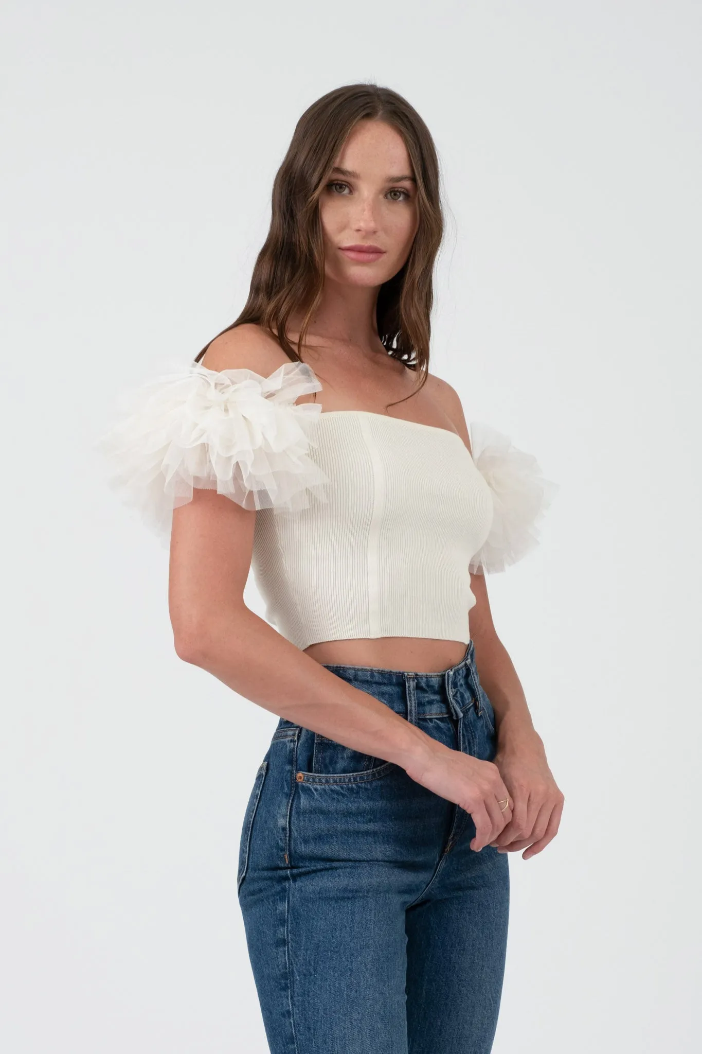 OFF THE SHOULDER TULLE SLEEVE KNIT CROP TOP