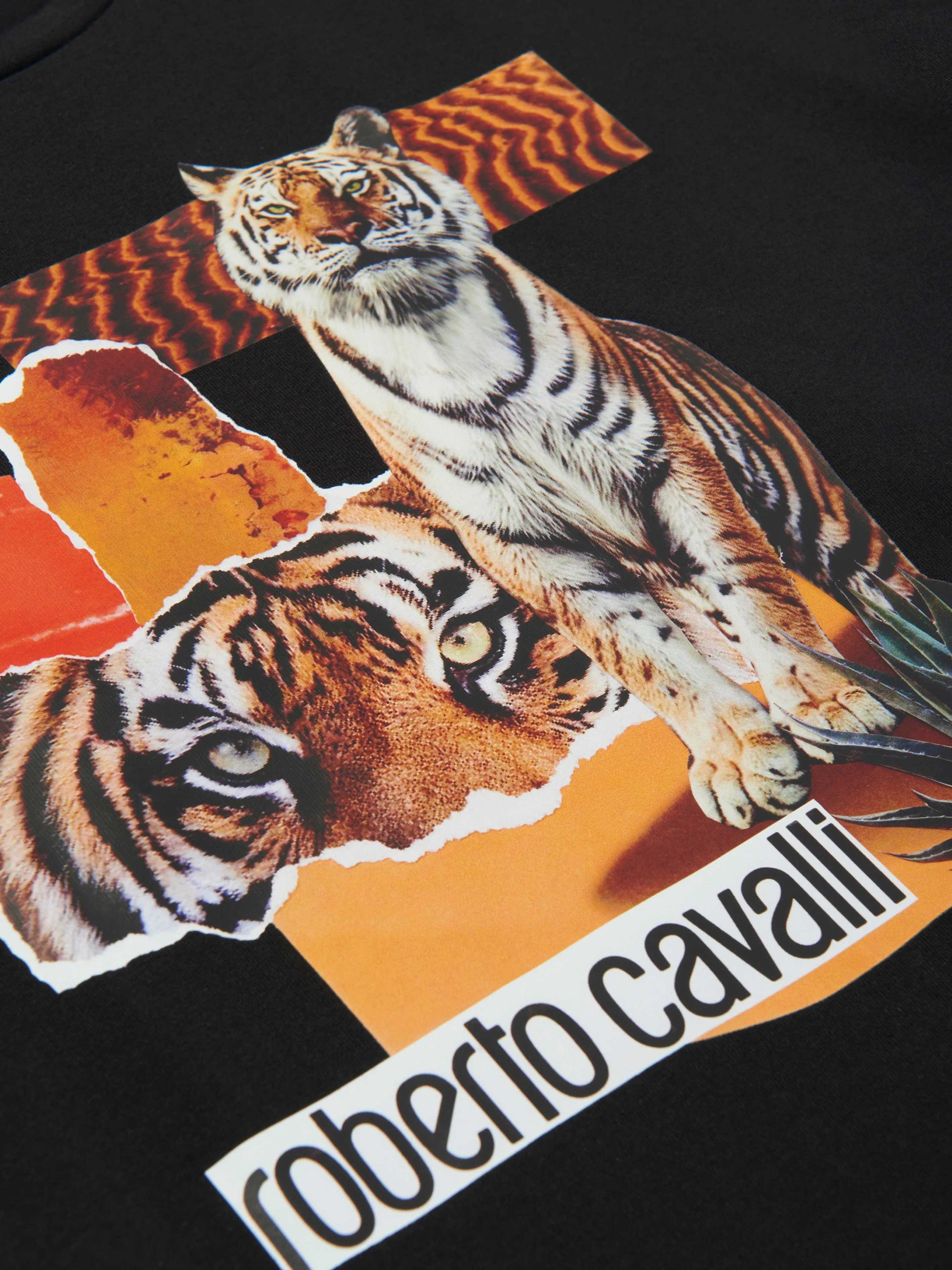 Roberto Cavalli Boys Tiger T-Shirt in Black